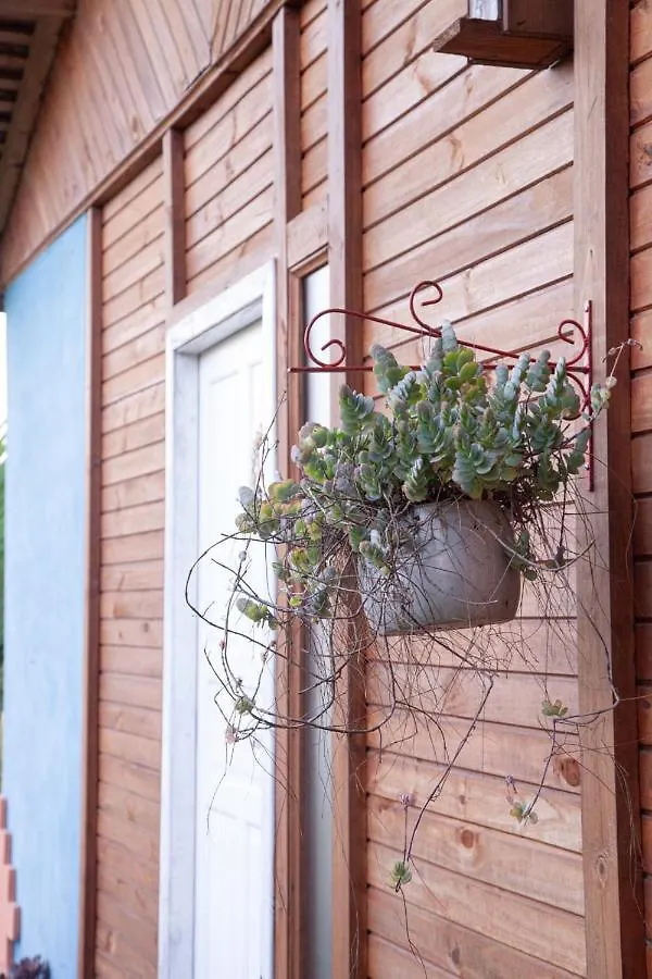 Casa Di Fiori Villa Apiuna Alpstuga